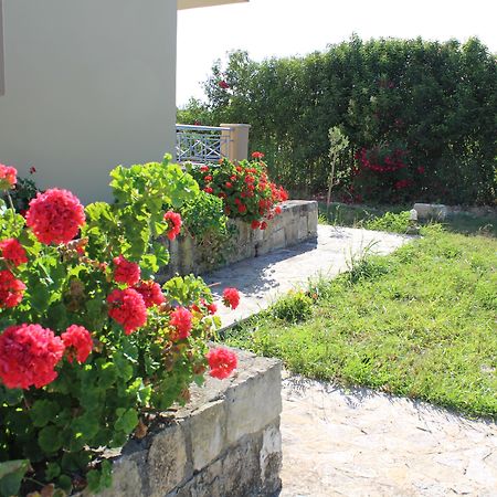 Aggelina S Apartments Xi Beach Dış mekan fotoğraf