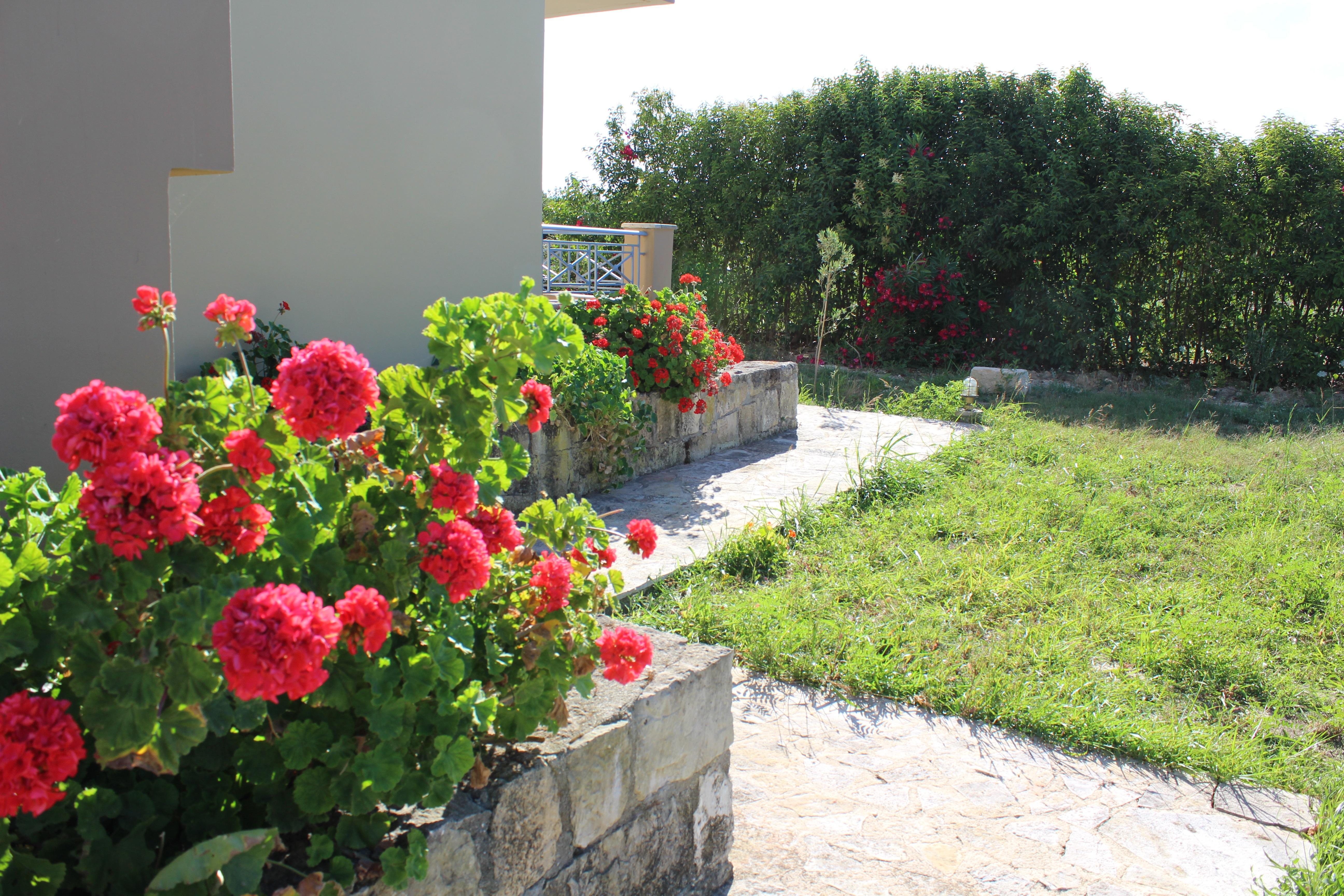 Aggelina S Apartments Xi Beach Dış mekan fotoğraf